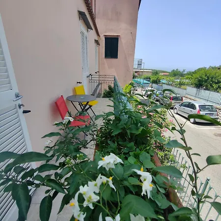 Appartement Camelia