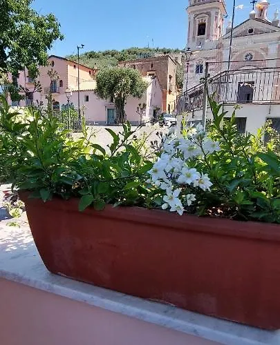 Camelia Apartment